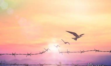 Freedom from Oppression | Christian Music Magazine | Amanda West