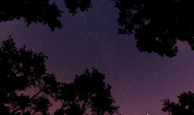 Reward For Obedience