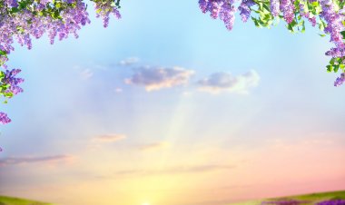 Cultivating The Garden of my Heart