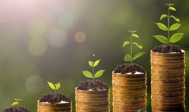 How To Prepare The Soil